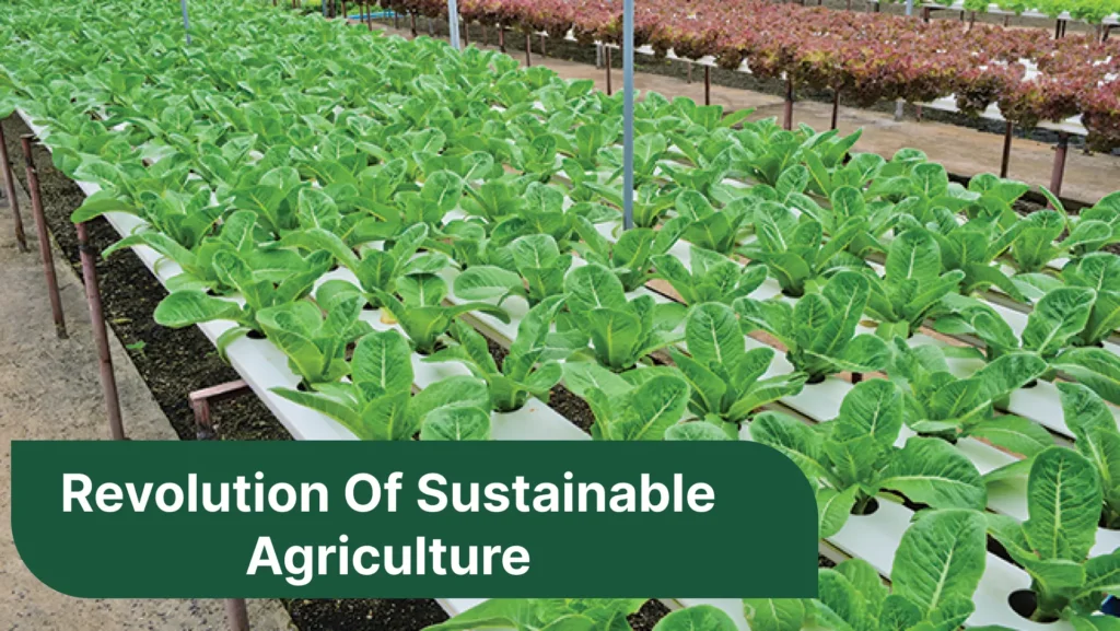 Revolution Of Sustainable Agriculture​